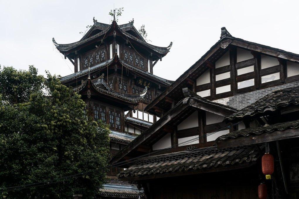 逃离荒废丛林屋